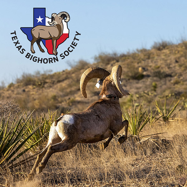 TBS wins Tommy Caruthers Outstanding Chapter and Affiliate Award